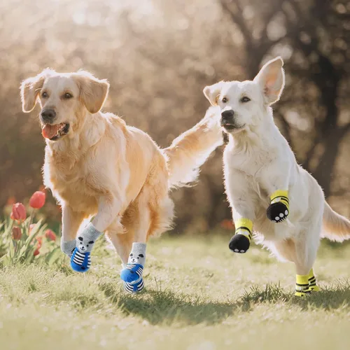 Vista 6 de Saintrygo 24 calcetines antideslizantes para perros pequeños, protectores de patas de gato, calcetines de punto con agarre para mascotas, protector