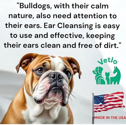 Vista 6 de Tratamiento de infección de oído para perros, limpiador de oídos con fórmula de aloe vera para limpiador de oídos para perros, evita infecciones