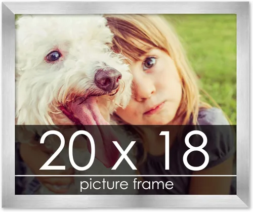 Vista 213 de Marco de madera de peltre plateado de 3 x 4 pulgadas, acrílico UV, respaldo de tablero de espuma y accesorios para colgar, marco de 3 x 4 pulgadas