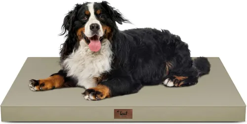Vista 22 de Cama para perros y gatos pequeños, impermeable, para jaula de huevos, espuma ortopédica con funda Oxford lavable y extraíble, color verde Amy