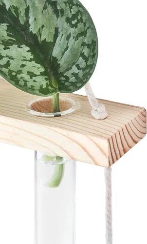 Vista 5 de Mkono Terrario para colgar en la pared de 3 niveles con soporte de madera, maceta de vidrio para corte de plantas hidropónicas, decoración