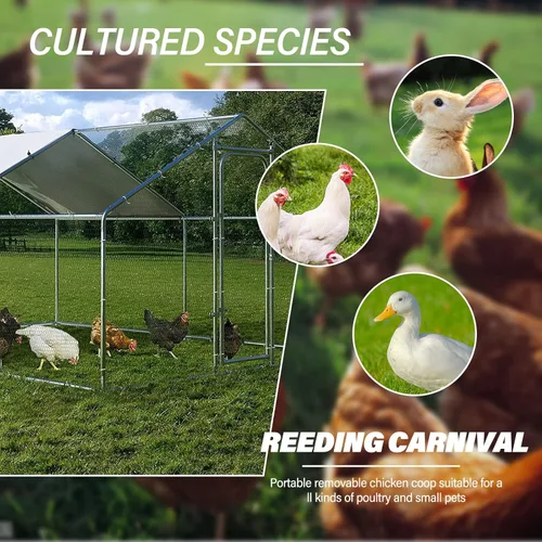 Vista 2 de Gallinero grande de metal para pollos, corral para caminar para 6/10 pollos, jaula de aves de corral resistente para el patio con cubierta