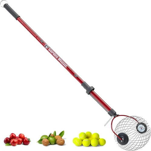 Vista 11 de GARDEN WEASEL Rodillo recolector de nueces mediano – Herramienta colectora de nueces para nueces, nueces de nogal, pelotas de golf y más – Recogedor