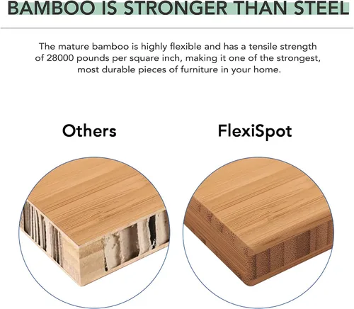 Vista 7 de Pro Bamboo - Escritorio eléctrico de pie con motor dual de 3 etapas, 48 x 24 pulgadas, tabla de escritorio de altura ajustable, escritorio eléctrico