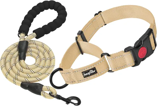 Vista 7 de haapaw Paquete de 2 collares de perro Martingale con hebilla de liberación rápida reflectantes, collares de entrenamiento para perros pequeños