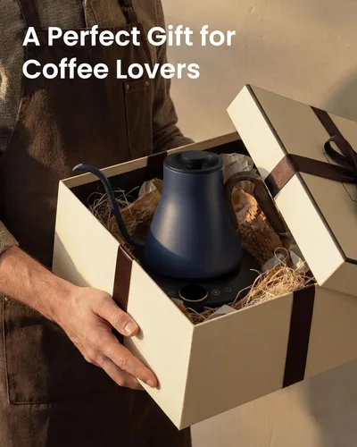 Vista 10 de Hervidores eléctricos, hervidor eléctrico de cuello de cisne INTASTING, control de temperatura ±1℉, interior de acero inoxidable, calentamiento