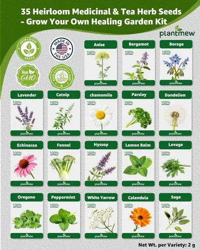 Vista 4 de 35 semillas de hierbas medicinales y de té para plantar, paquete variado