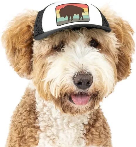 Vista 15 de Nature Collection, sombreros de camionero PupLid para perros (XXS) Protección solar elegante de alta calidad para el perro moderno, ajustable