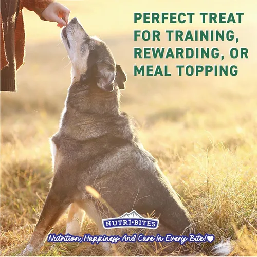 Vista 4 de Nutri Bites Golosinas de hígado de res liofilizado para perros y gatos Golosinas saludables para entrenamiento de mascotas o complemento de comida