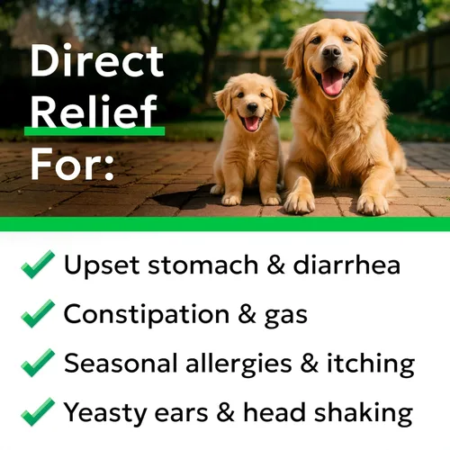 Vista 3 de Bark&Spark Vet Strength - Probióticos masticables para perros, 60 mil millones de UFC por frasco, enzimas digestivas para la salud intestinal