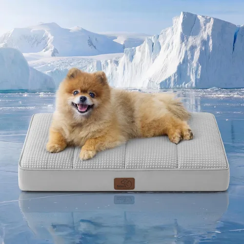 Vista 44 de Bedsure Camas para Perros Pequeños – Camas Planas XS Cómodas para Cachorros con Funda Extraíble Lavable, Colchoneta de Espuma Ortopédica Tipo Cartón