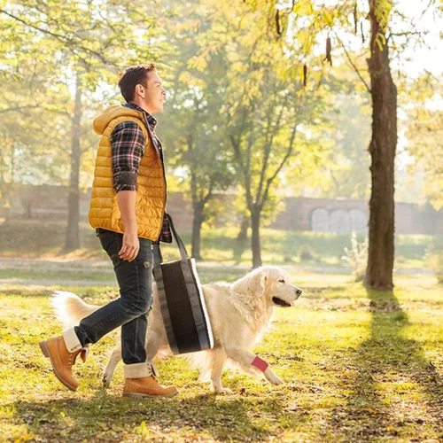 Vista 3 de JYSILIYH Arnés para perro para patas traseras, arnés de soporte para perro para pierna trasera, arnés de elevación para perros grandes