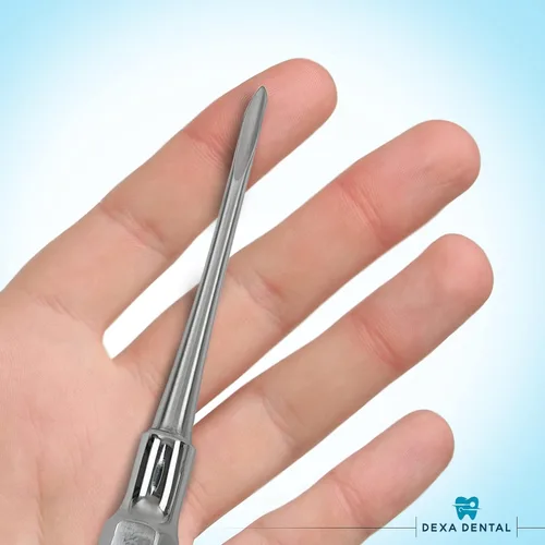 Vista 7 de Juego de elevador de raíces – Periotome luxante, osteótomo de muda apical, instrumentos de extracción de raíces, herramientas profesionales