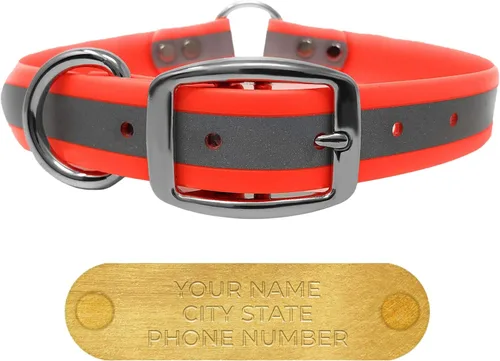 Vista 21 de Regal Dog Products Collar de perro reflectante negro pequeño con placa de nombre grabada personalizada y anillo central resistente Collares