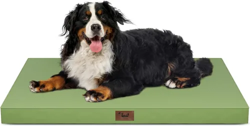 Vista 41 de Cama para perros y gatos pequeños, impermeable, para jaula de huevos, espuma ortopédica con funda Oxford lavable y extraíble, color verde Amy
