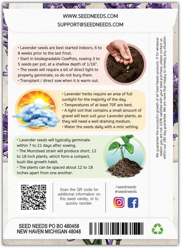 Vista 2 de Seed Needs, Munstead - Semillas de lavanda – 500 semillas tradicionales para plantar Lavandula angustifolia – Flores fragantes sin OMG y sin tratar