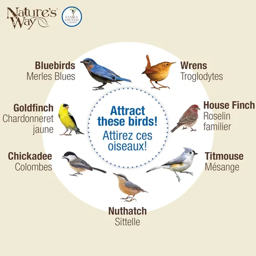 Vista 6 de Nature's Way BBFM1 Bluebird Buffet - Comedero metálico para pájaros con deflector protector, comedero para pájaros silvestres al aire libre