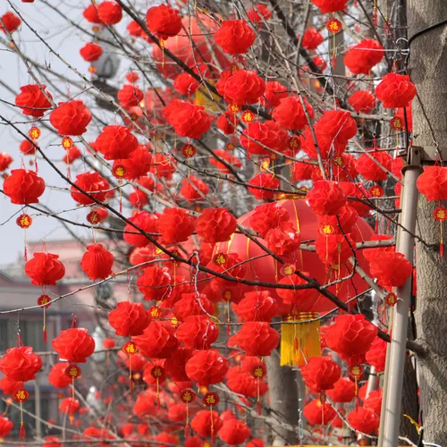Vista 7 de Coopay 40 linternas chinas rojas de 8 pulgadas para decoración de Año Nuevo Lunar, Festival de Primavera, boda, restaurante, suministros de fiesta