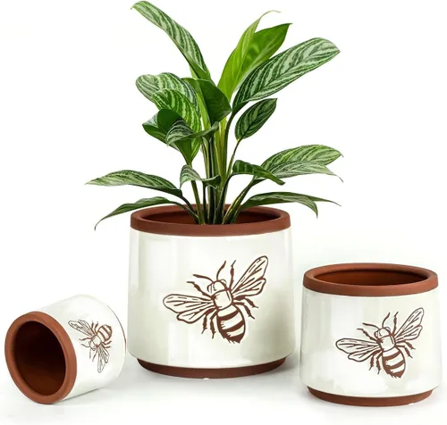 Vista 14 de Succulent Pots Terracotta, 6 Inch Plant Pot for Plants with Drainage Hole, Ceramic Planter Mushroom Pattern, Round Flower Pots for Indoor Outdoor