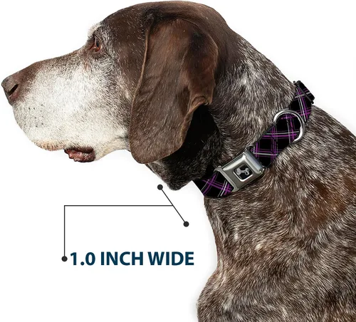Vista 6 de Buckle-Down Collar de perro con hebilla para cinturón de seguridad, a cuadros, negro, morado, gris, 1 pulgada de ancho, se adapta a cuello de 9 a 15