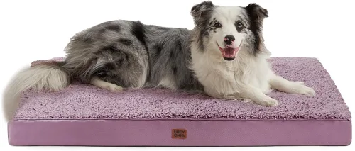 Vista 36 de EHEYCIGA Camas ortopédicas para perros grandes con funda extraíble lavable para jaula, camello, 35 x 23 pulgadas