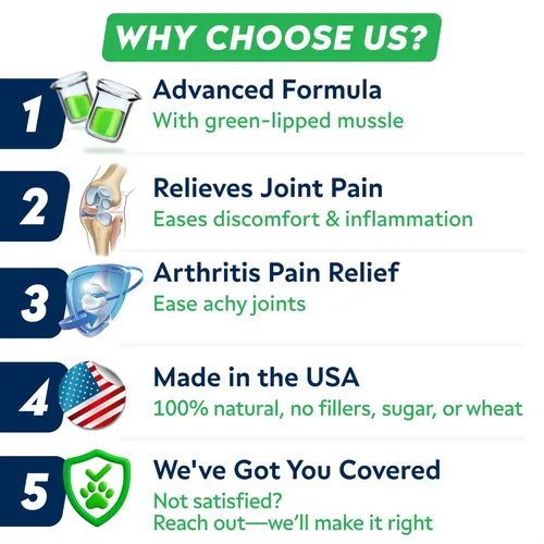 Vista 8 de STRELLALAB Advanced Glucosamine Hip & Joint Supplement for Senior Dogs - Green Lipped Mussel & Collagen - Hip & Joint Pain Relief - Large & Small
