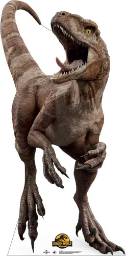 Vista 9 de Cardboard People Soporte de cartón de tamaño real T-Rex - Jurassic World Dominion (película de 2022)