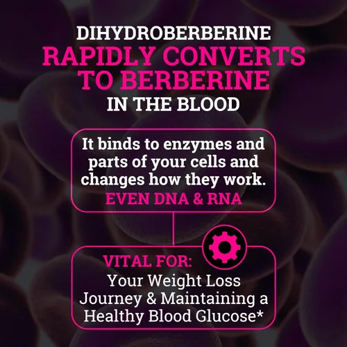 Vista 4 de Black Forest 5X Berberina un suplemento de dihidroberberina (súper berberina ahora 5 veces más eficaz que el HCL de berberina regular) Mejor