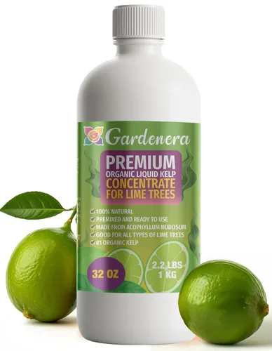 Vista 35 de GARDENERA Superalimento orgánico prémium de algas marinas y algas marinas para plantas AGLAONEMA, 8 onzas, concentrado de fertilizante líquido