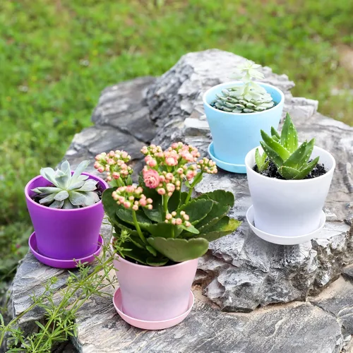 Vista 7 de TDHDIKE 10 macetas de plástico para interiores, mini plántulas de flores, maceta de vivero/maceta/maceta con paleta, contenedores decorativos