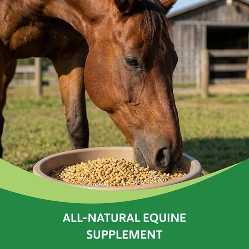 Vista 2 de HEIRO Suplemento nutricional saludable de rescate de insulina equina para caballos, mezcla de hierbas naturales con magnesio y vitamina E, apoya