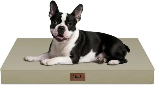 Vista 73 de Cama para perros y gatos pequeños, impermeable, para jaula de huevos, espuma ortopédica con funda Oxford lavable y extraíble, color verde Amy