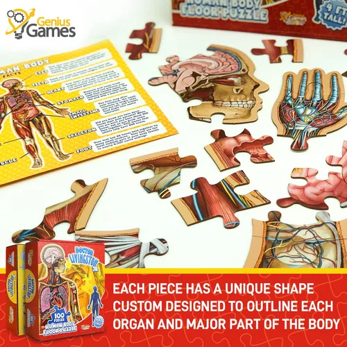 Vista 4 de Human Anatomy - Rompecabezas de suelo para niños, rompecabezas de cuerpo completo de 100 piezas del Dr. Livingston Jr, rompecabezas de suelo de 4