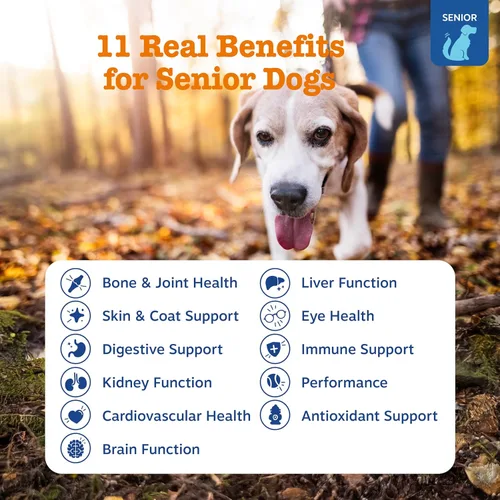 Vista 9 de Zesty Paws Multivitamínico para perros, vitaminas masticables para perros y suplementos para cadera y articulaciones, piel y pelaje, aceite