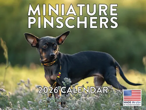 Vista 205 de Calendario Akita 2026 mensual de pared de 12 meses, fabricado en Estados Unidos