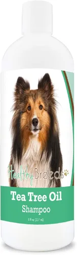 Vista 70 de Healthy Breeds Chow Chow Champú de aceite de árbol de té, formulado para pieles secas e irritadas, reduce la caspa, aroma de gaulteria, 8 onzas