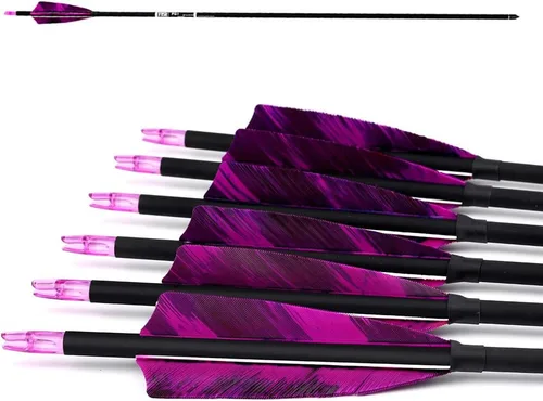 Vista 2 de Flechas de carbono de 31 pulgadas para práctica de caza con escudo de 4 pulgadas, 500 flechas para arco recurvo arco compuesto arco largo