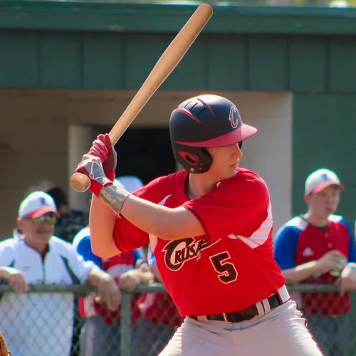 Vista 6 de Wooden Baseball Bats 34" 32" 30" 28" Full Size bate de beisbol Madera Solid Wood Baseball Bat for Adult Men Women Training Bat Softball Hitting