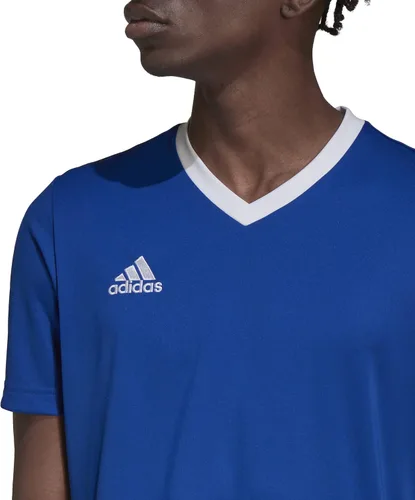 Vista 3 de adidas Camiseta estampada Entrada 22 para hombre
