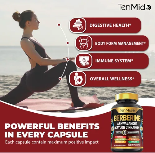 Vista 4 de Suplemento de berberina – Fórmula 10 en 1 con Ashwagandha, canela de Ceilán, cúrcuma, Panax Ginseng, olmo resbaladizo, hinojo, té verde y más