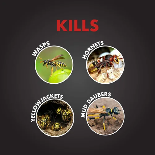 Vista 3 de Spectracide PRO - Asesino de avispas y avispones (Aerosol) (18 onzas), paquete de 1, lata blanca