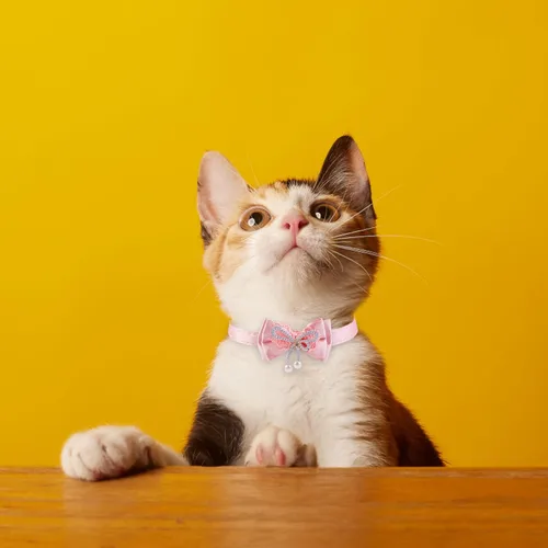 Vista 7 de Collar para mascotas, collar de gato con cuentas de lazo de encaje rosa, collar de campana para mascotas, collar de gato ajustable suave con flores