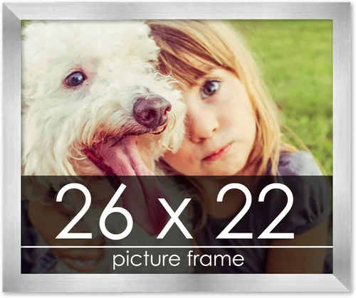 Vista 163 de Marco de madera de peltre plateado de 3 x 4 pulgadas, acrílico UV, respaldo de tablero de espuma y accesorios para colgar, marco de 3 x 4 pulgadas