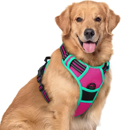 Vista 11 de Rabbitgoo - Arnés para perros sin tirón con 2 clips de correa, chaleco Oxford reflectante acolchado suave ajustable sin estrangulamiento para Beige