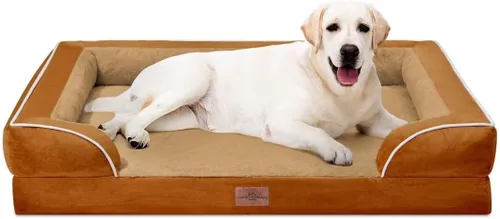 Vista 243 de Comfort Expression - Cama ortopédica para perros medianos de 30x20 pulgadas, cama impermeable de espuma de huevera para mascotas medianas