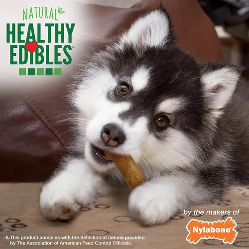 Vista 5 de Nylabone Healthy Edibles Masticables Naturales para Cachorros Golosinas de Larga Duración para Cachorros, Sabor Cordero y Manzana, Pequeño/Regular