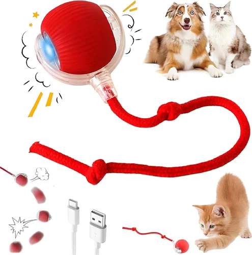 Vista 13 de Juguete de estimulación recargable de auto juego, eléctrico, interactivo, con cuerda de cola rápida para gatos aburridos