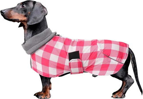 Vista 11 de Abrigos de perro salchicha impermeables, perfectos para perros salchichas, salchichas, abrigo de invierno para perro Weiner con forro polar