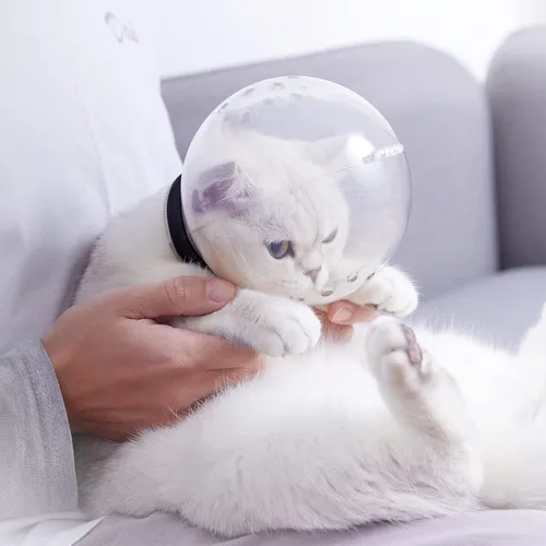 Vista 6 de Bozal y botas para gatos, casco ajustable para aseo, máscara facial transpirable con capucha para afeitarse la cabeza, cubierta de burbujas, soporte