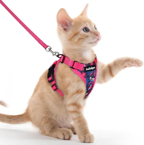 Vista 59 de rabbitgoo Arnés y correa para gatos para caminar, chaleco suave ajustable a prueba de escape para gatos, chaqueta de control fácil transpirable